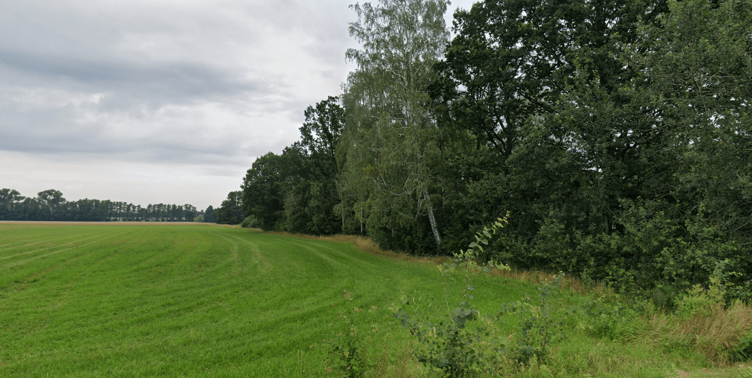 Szlaki piesze i rowerowe